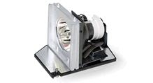 Projector Lamp (ec.j9900.001)