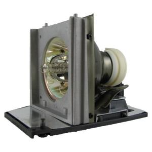 Projector Lamp (mc.jf711.001)