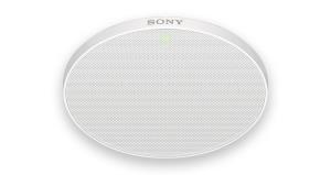Camera/beamforming Microphone For Speech